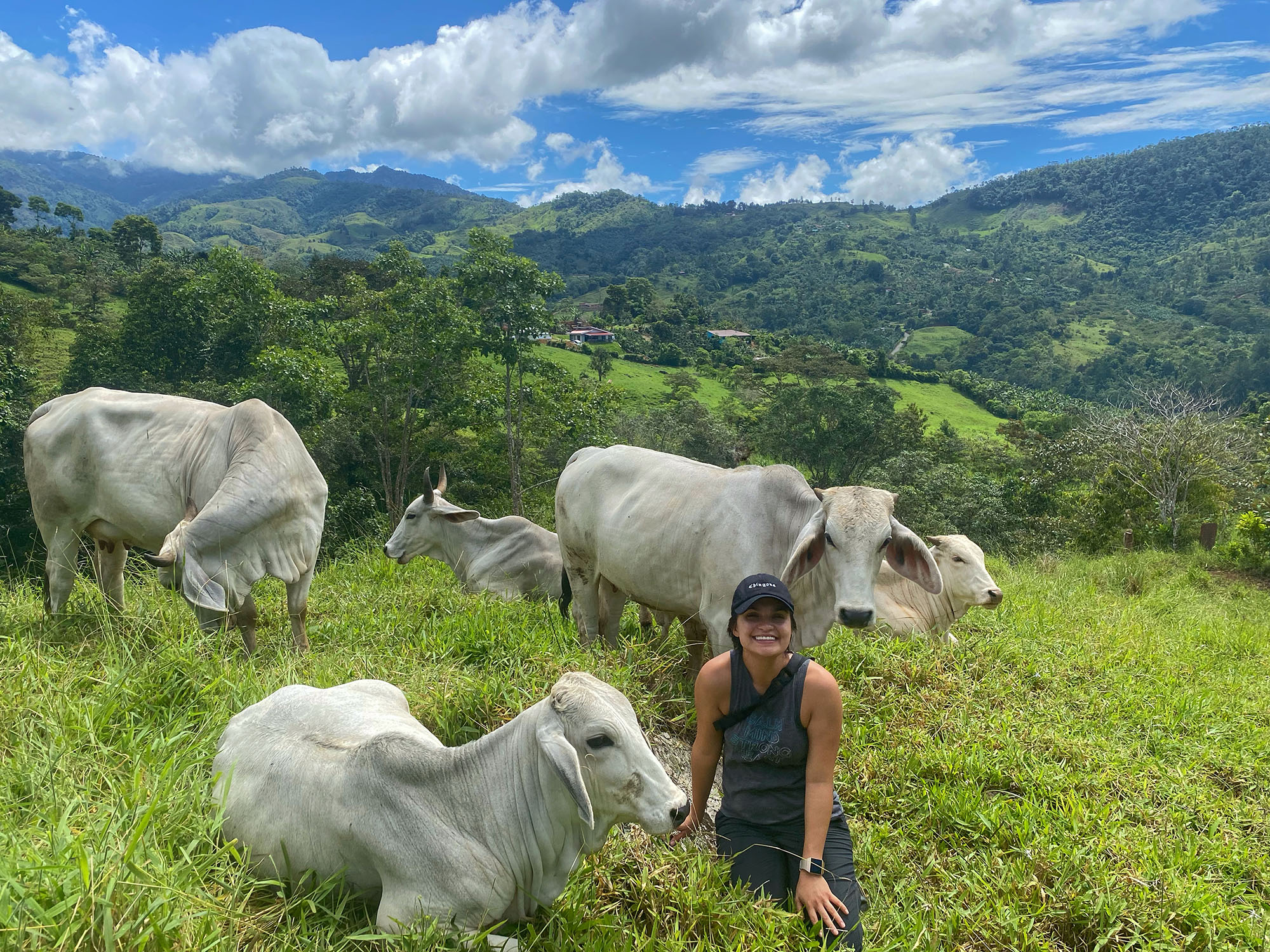 Enriching the Agricultural Matrix: Farmer engagement in biological ...