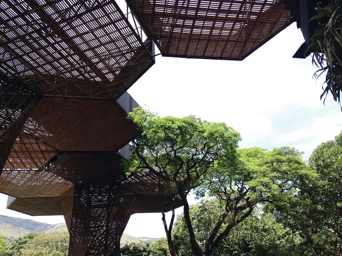 Huge wooden trellises form the orchidarium at the renovated Medellín Botanical Gardens, Colombia. (Photo by SLClaasen.)