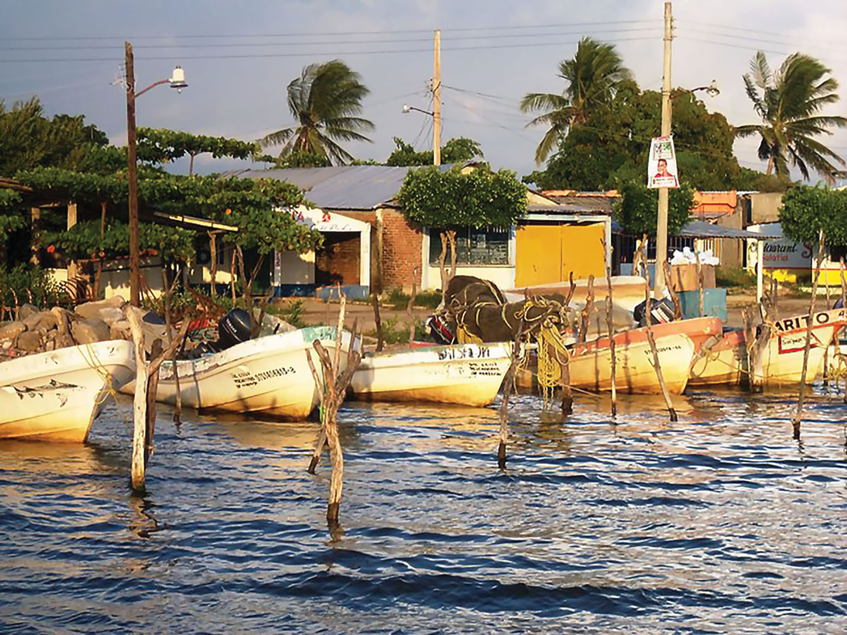 Fishing boats line the docks in Chiapas, Mexico. (Photo by Néstor Fernando Hernández Candelaria.)
