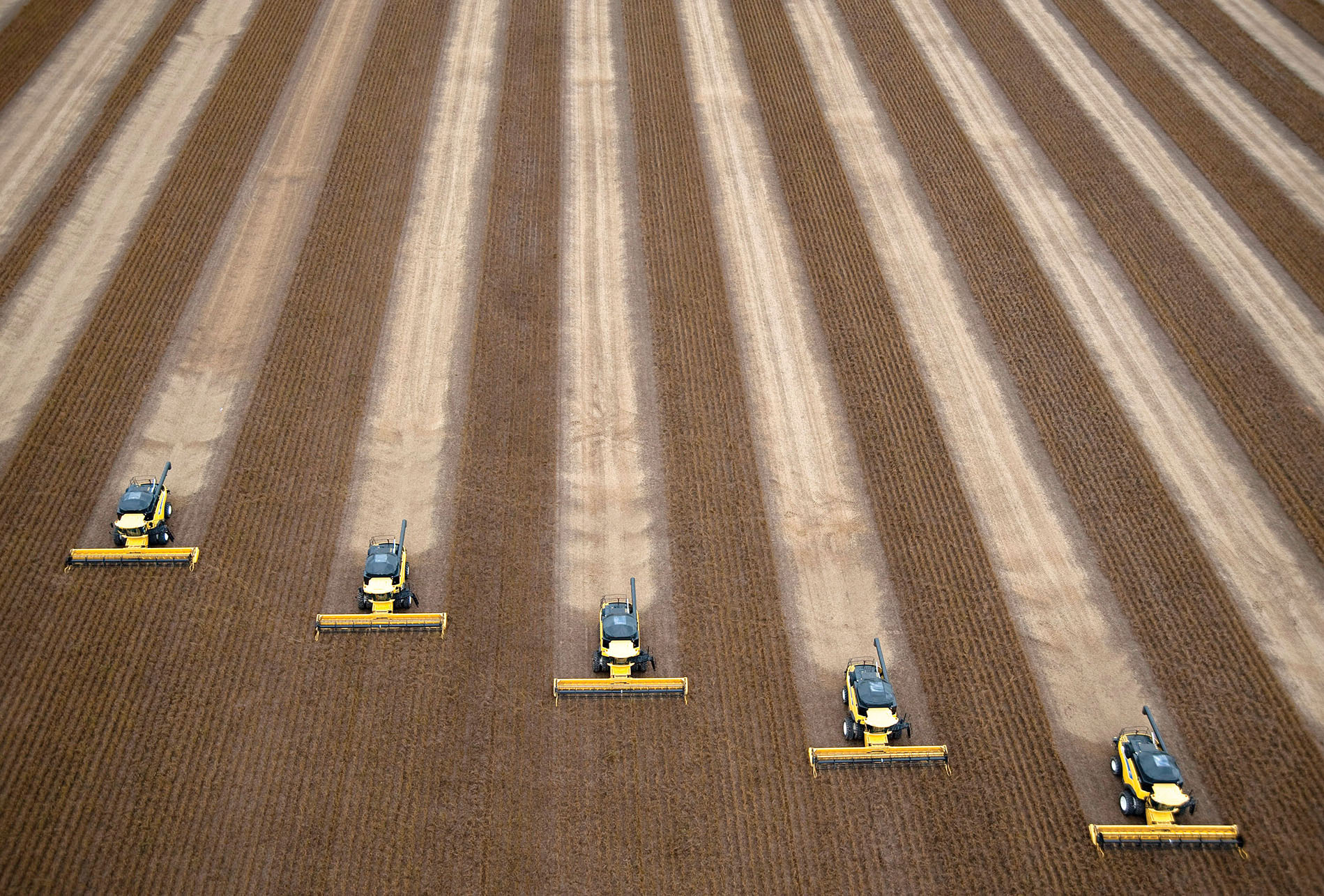 An overhead shot of 5 huge combine harvesters working a field of soybeans in Correntina, Brazil. (Photo from Getty Images.)