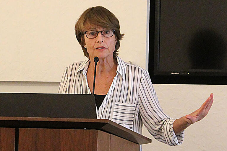 Cynthia Gorney discusses her work on widowhood. Image courtesy of the University of Texas at Austin. United States, 2017.