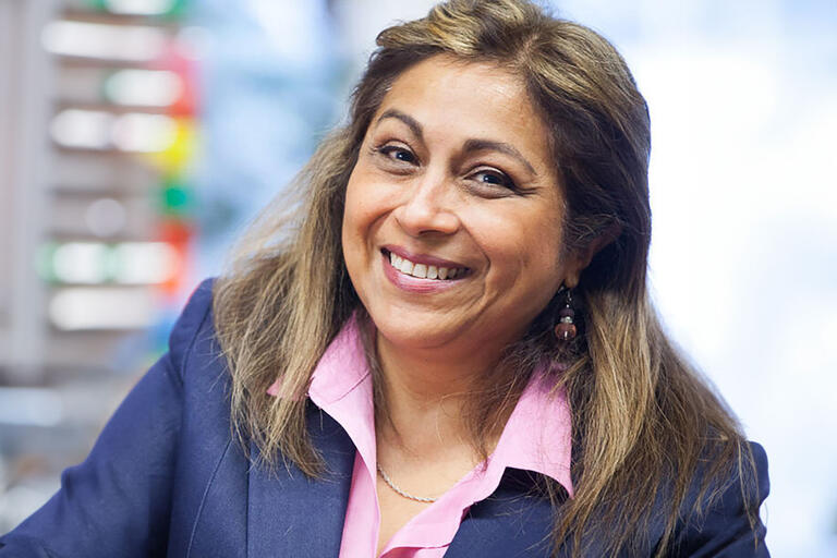 Picture of a older woman in a business suit with golden streaks, and flat hair.