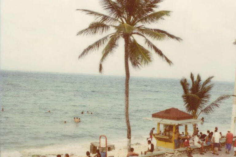 Image from the cover of No Dar Papaya, a picture of a palm tree on the beach
