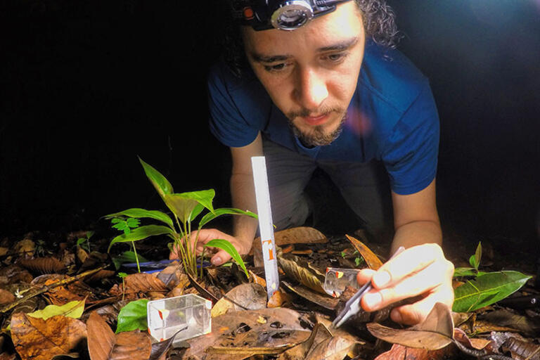Ignacio Escalante studies insects during a CLAS-supported research trip in Panama, 2016. in