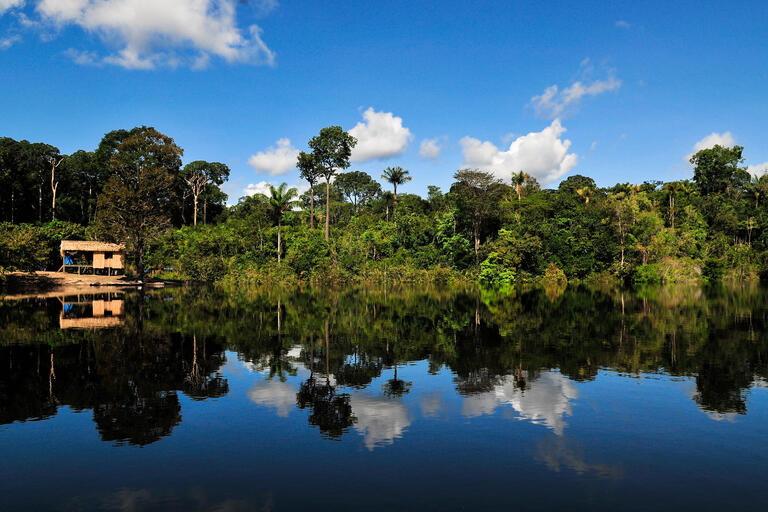 A house and the forest are reflected in the Amazon river