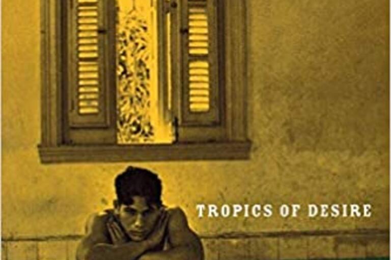 Tropics of Desire: Interventions from Queer Latino America book cover