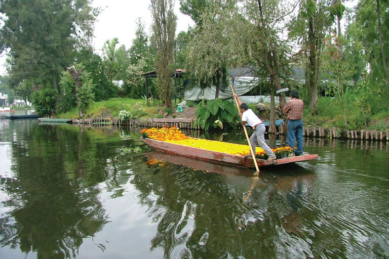 A man poles a boat filled with flowers through Lake Xochimilco, one of the few places in Mexico where traditional chinampa or lake bed agriculture is still practiced. (Photo by Francisco Martínez.)