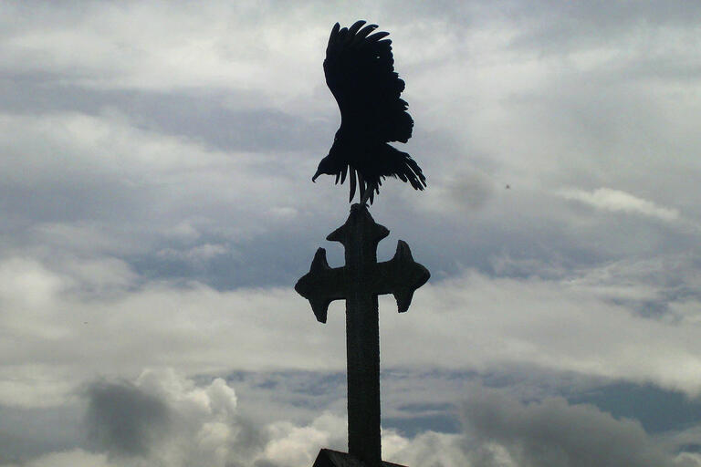 A vulture silhouetted against a bright sky lands on a cross in Guatemala City’s Cementerio General. (Photo by Anthony Fontes.)