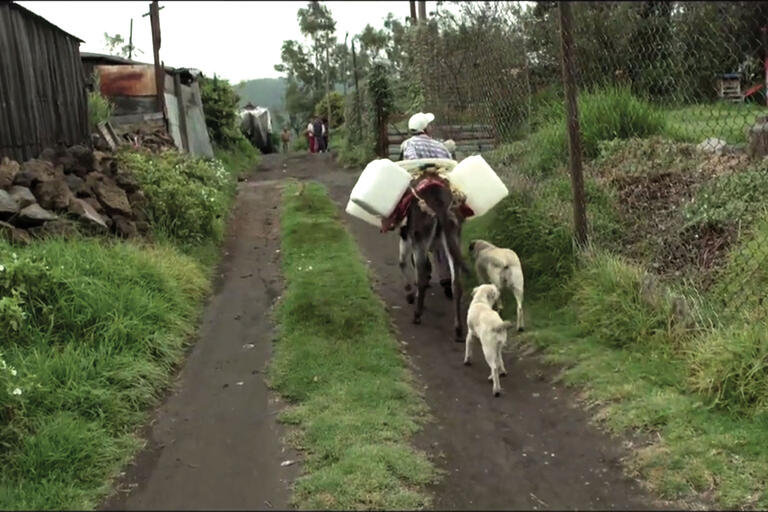 A screen shot from “H2Omx” shows a man leading his donkey to fetch water on the outskirts of Mexico City. (Photo courtesy of Icarus Films.)