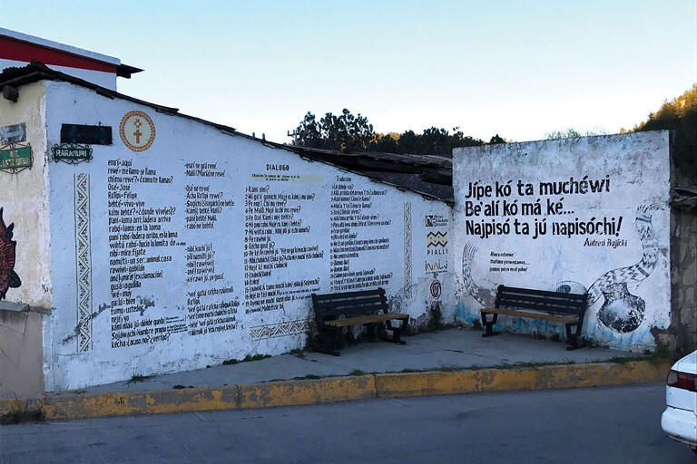 A lexicon of Rarámuri words and their Spanish translation form a mural in Chihuahua, Mexico. (Photo by Malcolm K.)