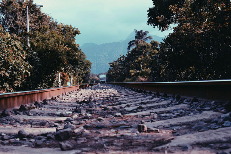 Railroad tracks in Veracruz, on which a train called La Bestia transported tens of thousands of Central American migrants each year. (Photo by Levi Vonk.)