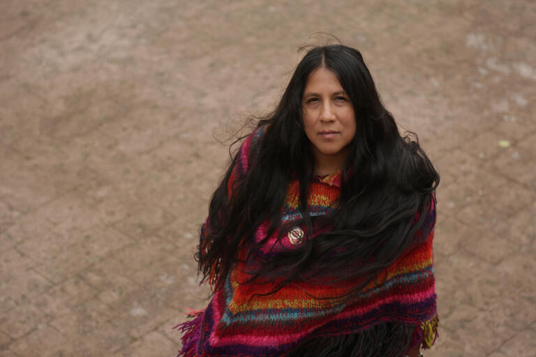 Image of Gabriela Wiener looking up at the camera. Her hair is flowing in the wind. She is wearing a colorful shawl.