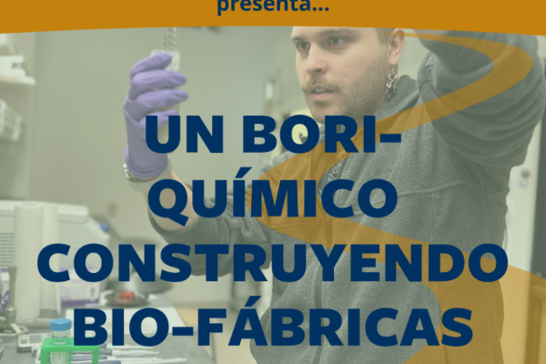 Un bori-químico construyendo bio-fábricas flyer