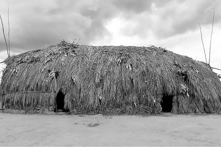 A building constructed of wood covered with palm fronds - a Takãra, the central structure in an Apyãwa village.