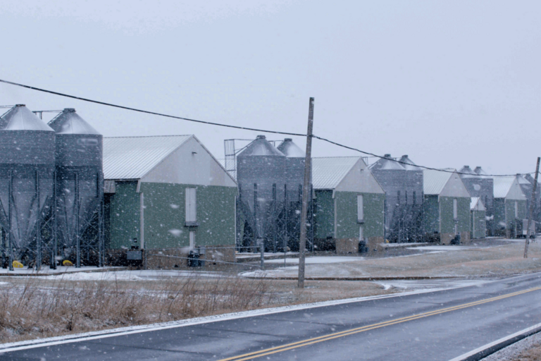 Farm buildings and warehouses in the snow