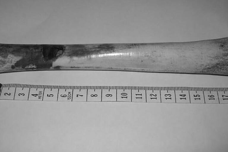 A black and white photo of a Tupi flute made from bone. Copenhagen, Nationalmuseet Etnografisk Samling, EHb28, human bone, 18 cm. Photo: Amy J. Buono.