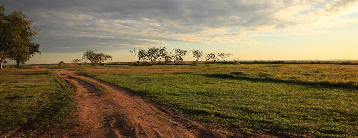 A field and dirt road at sunset