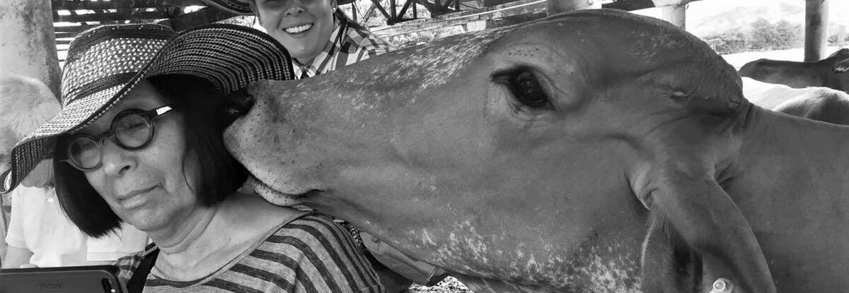 Black and white picture of Marisol de la Cadena with a cow