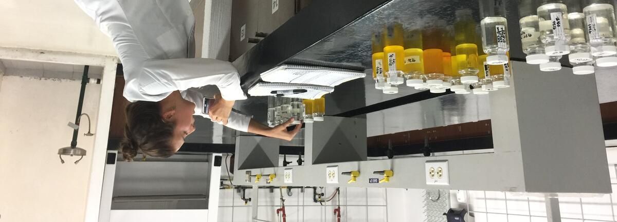 Student in a lab looking at water samples