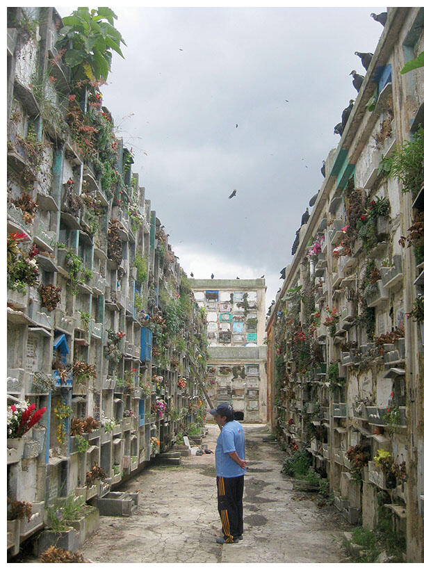 Guillermo stops before a grave in the aisle of a graveyard with tombs stacked eight high in Guatemala City. (Photo by Anthony Fontes.)