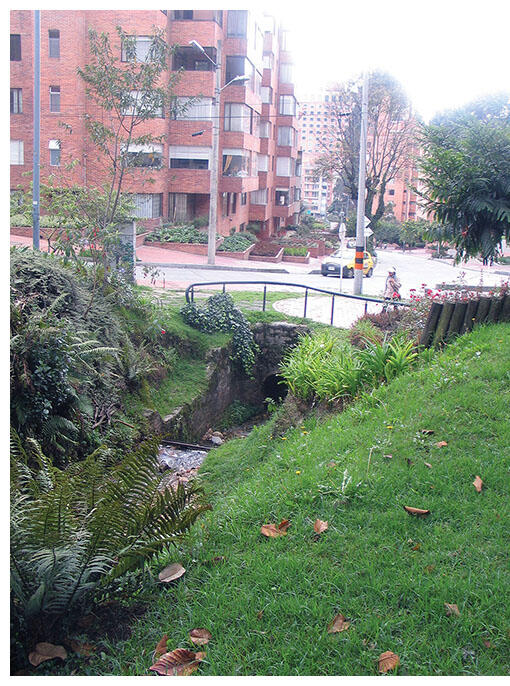 The Quebrada de la Vieja Creek runs briefly through a natural canyon before entering a culvert as it approaches apartment buildings in Bogotá. (Photo by René Davids.)