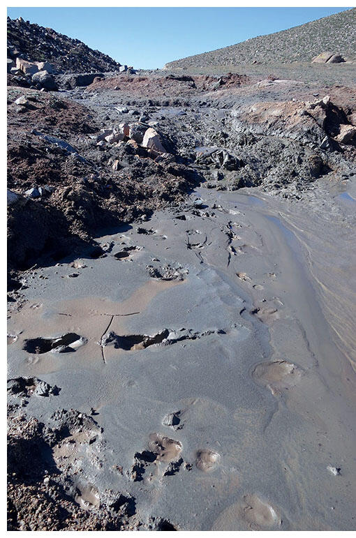 Livestock tracks crisscross the gray mud of a toxic tailings pond. (Photo by Julie Klinger.)