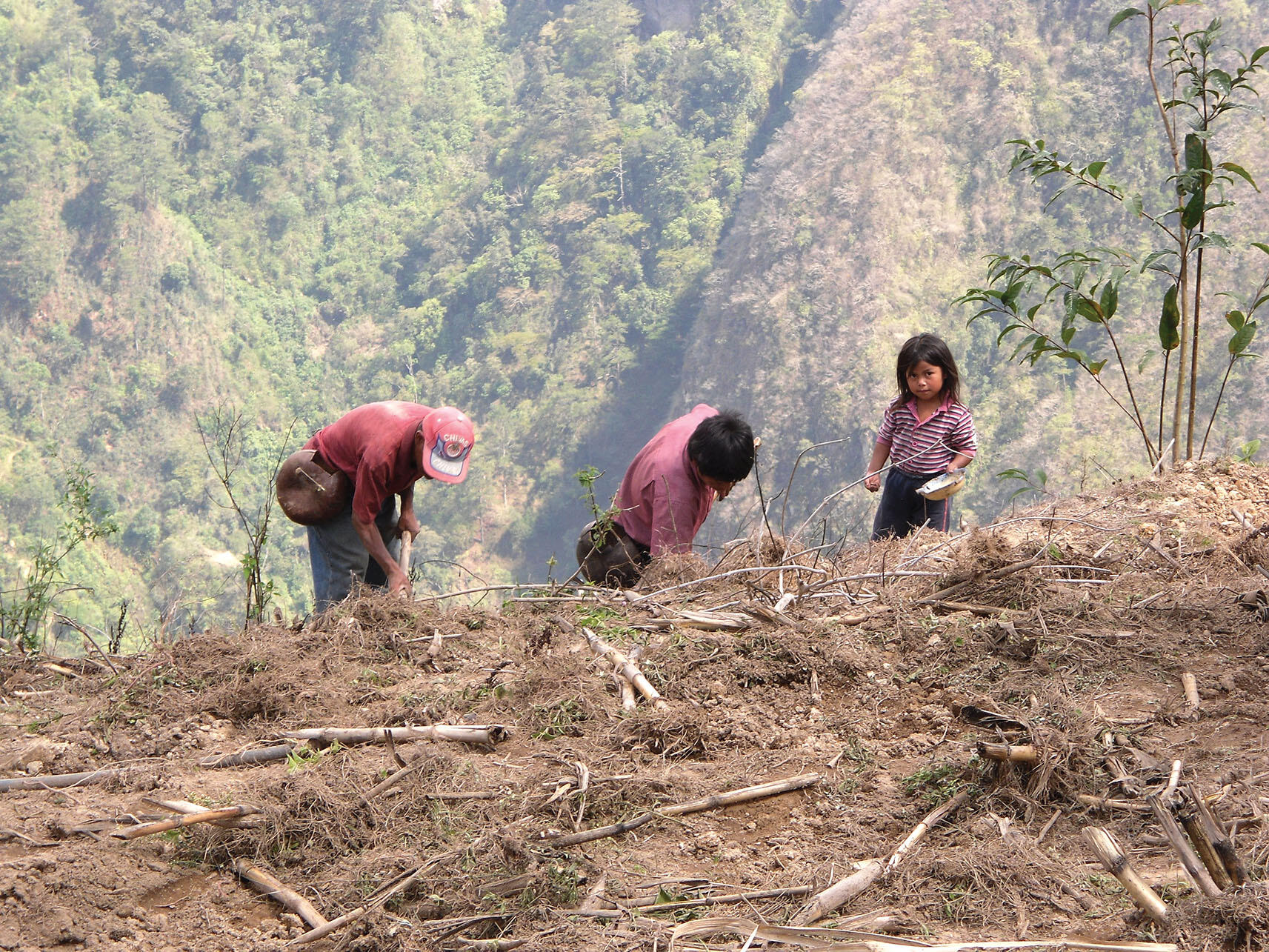 A father and his children plant corn on a steep hillside, land vulnerable to mudslides. (Photo by Carlos Manuel Citalán Marroquín.)