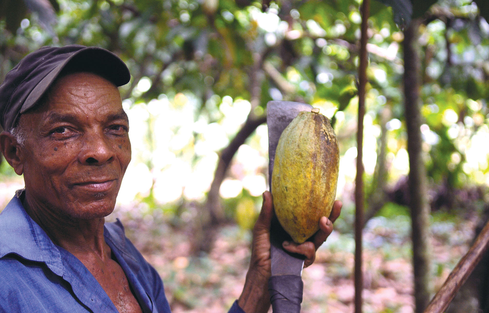 A farmer shows the inside detail of a cacao pod. (Photo by Everjean.)