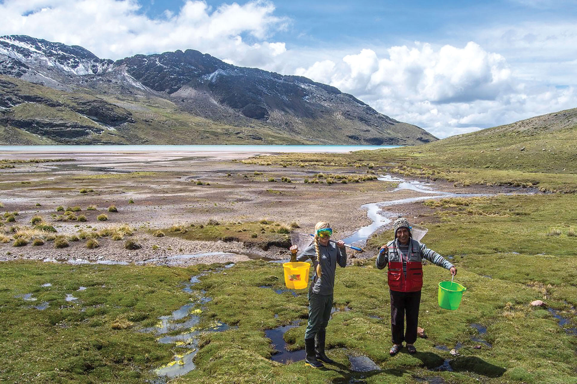 Emma Steigerwald and research assistant Gumercindo collecting samples of frogs high in the Andes, March 2018. (Photo courtesy of Emma Steigerwald.)