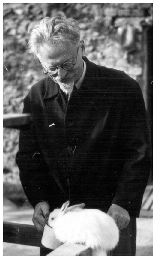 Trotsky tends one of the hundred plus rabbits he raised while in Mexico. (Alexander H. Buchman Papers, Hoover Institutional Archives. Used with permission.)