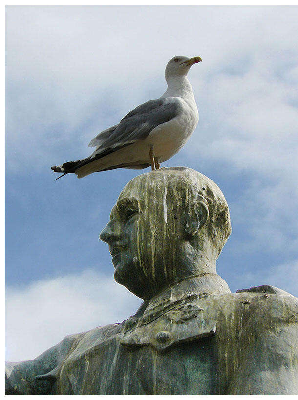 A seagull sits atop a droppings-smeared statue of Francisco Franco in Sardinero, Cantabria, Spain. (Photo by Carlos Luna.)