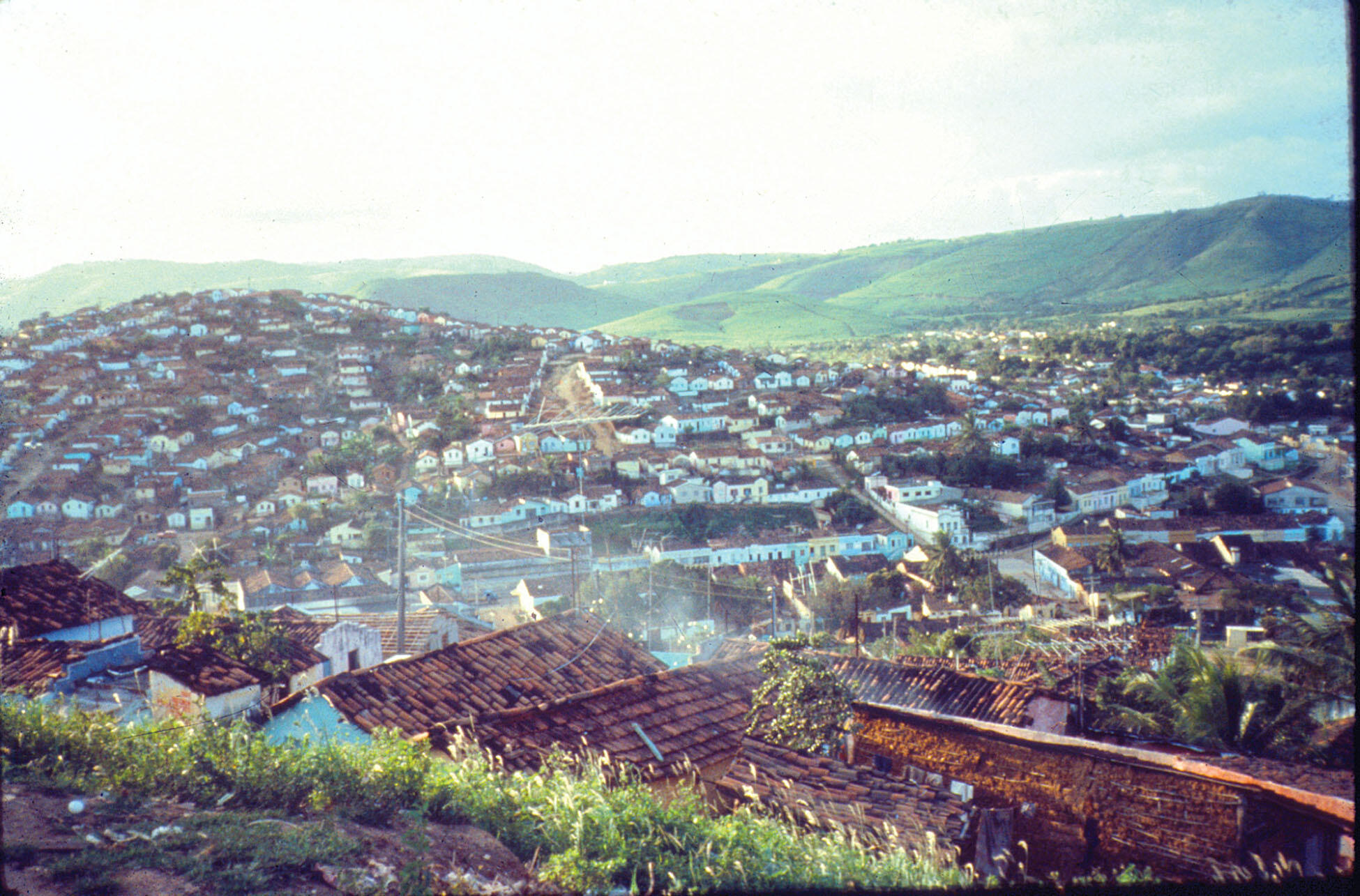The hillside neighborhoods of the Alto do Cruzeiro. (Photo by Nancy Scheper-Hughes.)