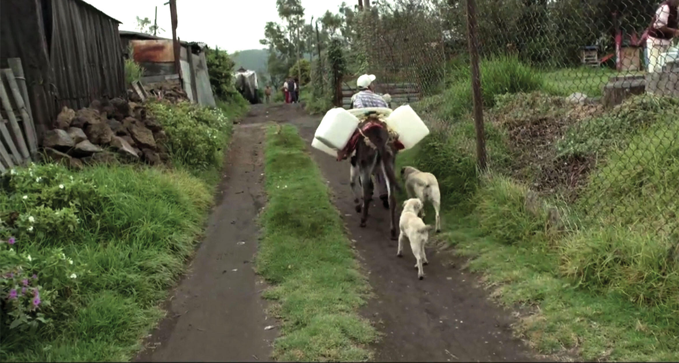 A screen shot from “H2Omx” shows a man leading his donkey to fetch water on the outskirts of Mexico City. (Photo courtesy of Icarus Films.)