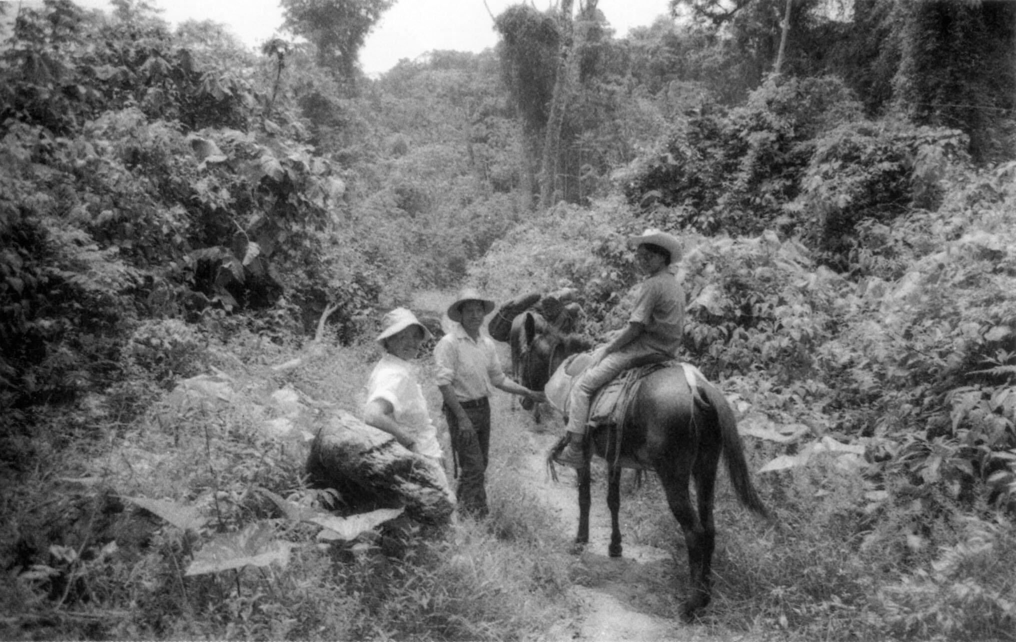 Myrna Mack (on horseback) rides with Beatriz Manz and Santa María Tzejá resident Alejandro Ortiz, on a field trip to the rainforest of Ixcán in 1987.  (Photo courtesy of Beatriz Manz.)