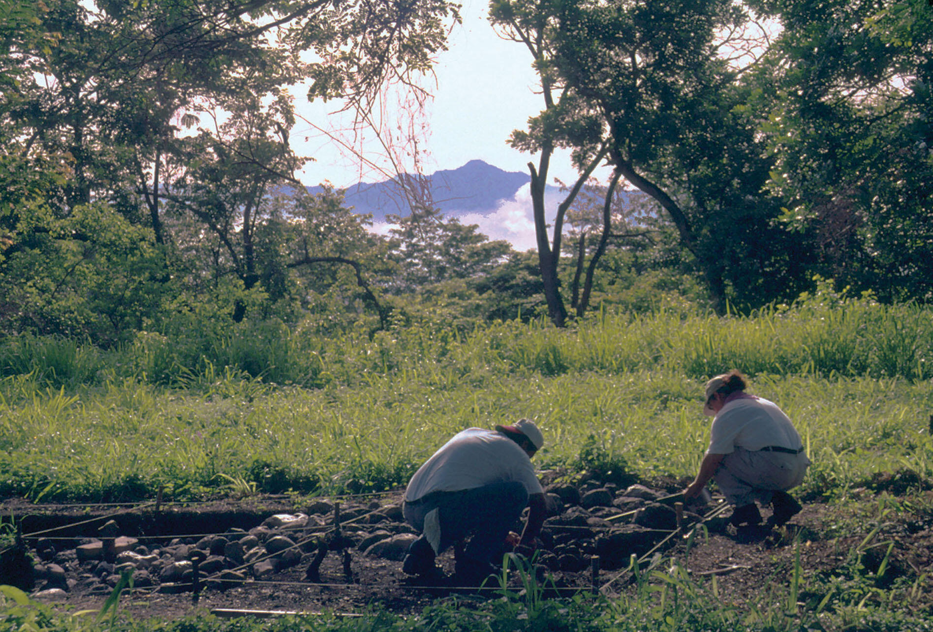 Julia Hendon leads excavations in the fields at Cerro Palenque, Honduras, in 2002. (Photo by Jeanine Lopiparo.)