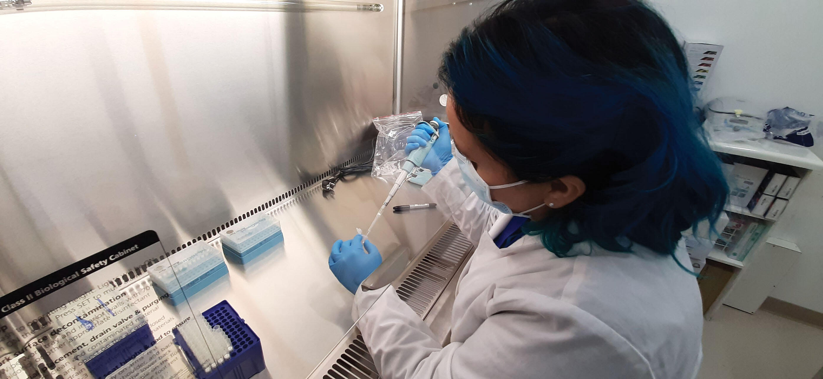 A biochemist uses pipettes and testing equipment provided by international donors to test for SARS-CoV-2 in Chile,  July 2020. (Photo courtesy of Hospital Claudio Vicuña/IAEA.)