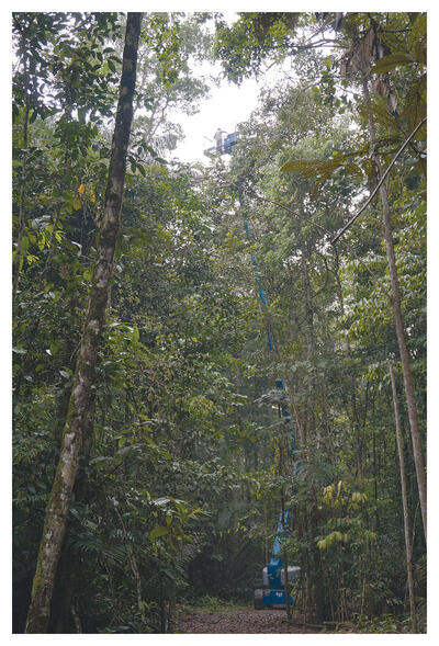 A telescopic lift raises researchers to the top of the forest canopy. (Photo courtesy of Bruno Oliva Gimenez.)